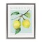Stupell Industries Sorrento Lemon Branch Framed Floater Canvas Wall Art Design by Reinders